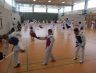 130428_Kadertraining-Vollkontakt-Bild03.jpg